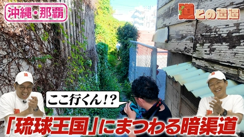 道との遭遇 【沖縄・那覇】琉球王国時代 国王に献上された水とは？