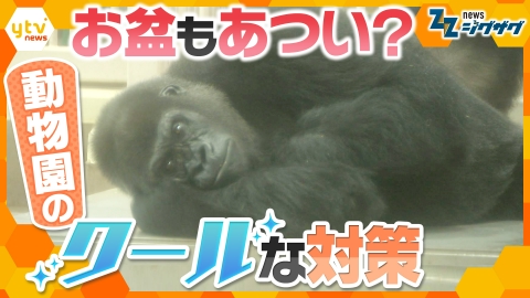 サタデーLIVE ニュース ジグザグ 歴史的な暑さのこの夏　最大９連休の“お盆休み”渋滞を回避してクールにレジャーを楽しむには【ニュース ジグザグ】