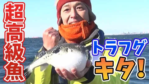 田村亮の釣りならまかせろ！ 掛けたら絶対にGETしたい超・⾼級魚！ トラフグ釣りならまかせろ！