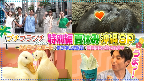 ウチ、“断捨離”しました！ 8月19日(火)放送分 「頼りの祖母を失い…家族
