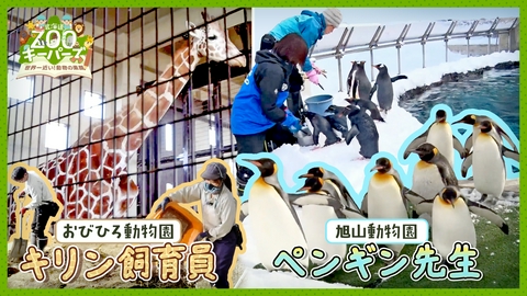 北海道ZOOキーパーズ～世界一近い！動物の素顔～ 世界中の生き物たちに出会える動物園がもっと面白く！