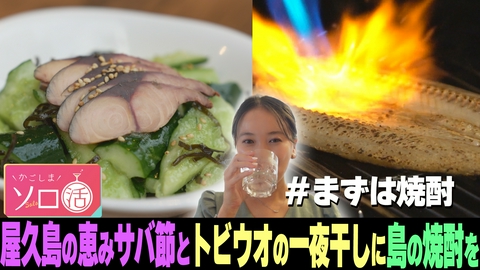 かごしまソロ活 屋久島の恵みサバ節とトビウオの一夜干しに島の焼酎を