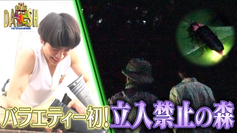ザ！鉄腕！DASH!! 8月3日(日)放送分 25年目の米作り棚田がピンチ!新宿