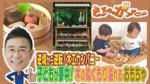 そ～だったのかンパニー 木のぬくもり溢れるおもちゃ