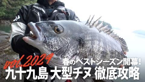 THEフィッシング 春のベストシーズン開幕！九十九島大型チヌ徹底攻略