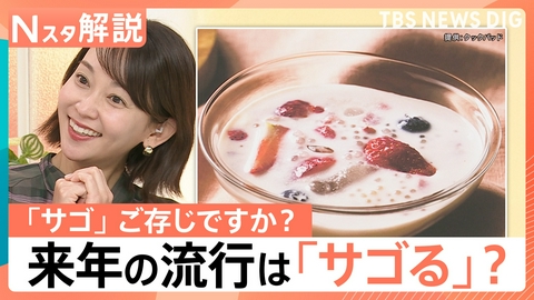 TBS NEWS DIG Powered by JNN 来年流行る？「サゴ」ってなあに？【Nスタ】