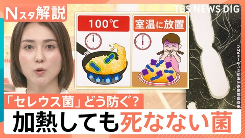 TBS NEWS DIG Powered by JNN “チャーハン症候群”に注意!【Nスタ】