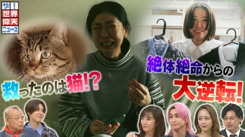 ザ!世界仰天ニュース 絶体絶命から大逆転!ピンチ母子…残された10時間で猫が奇跡起こす