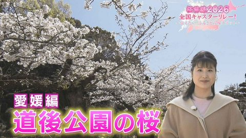 桜前線2026 全国キャスターリレー！ ～伝えたい！ふるさとの桜スポット～ 愛媛編「道後公園の桜」