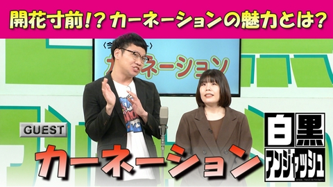 白黒アンジャッシュ 白黒アンジャッシュ▽開花寸前！？カーネーションの魅力とは？