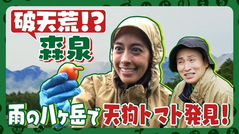 種から植えるTV 第228回 破天荒すぎる!?森泉と雨の八ヶ岳でトマト収穫&コスモス撤去