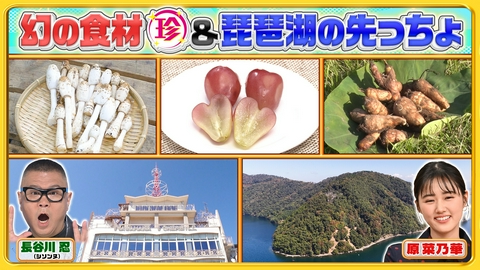 ナニコレ珍百景 幻＆究極グルメ珍百景＆琵琶湖の先っちょで発見！湖底に沈む超貴重なある物とは…