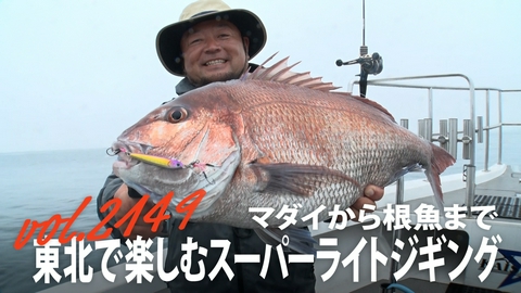THEフィッシング マダイから根魚まで東北で楽しむスーパーライトジギング