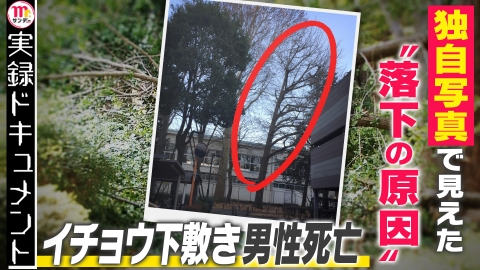 実録ドキュメント Mr.サンデーpresents イチョウ下敷き男性死亡・・・独自写真 落下の理由