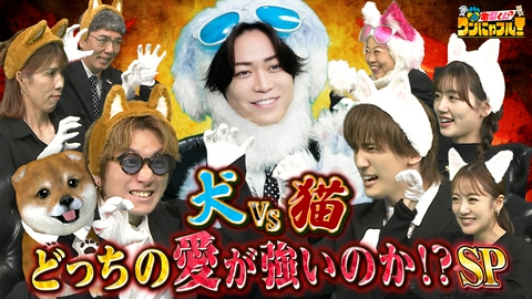 亀梨くんのワンにゃフル！ 【未公開トーク付】MC：亀梨和也！犬派VS猫派★“激かわ特化”衝撃映像＆135匹の猫と暮らす三姉妹