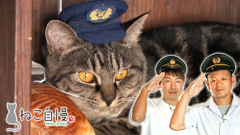 ねこ自慢 崖っぷちの赤字鉄道に現れた猫駅長に密着！社員を癒やす社内猫の日常