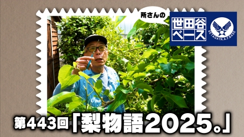所さんの世田谷ベース 「梨物語2025。」
