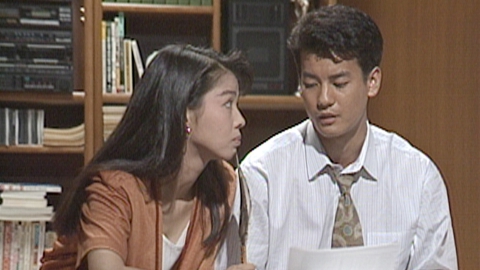 渡る世間は鬼ばかり 第1シリーズ(橋田壽賀子ドラマ) 1991年放送