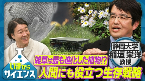 いまからサイエンス 雑草は最も進化した植物！？人間にも役立つ生存戦略