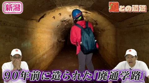 道との遭遇 【新潟】旧山古志村に眠る「廃通学路」