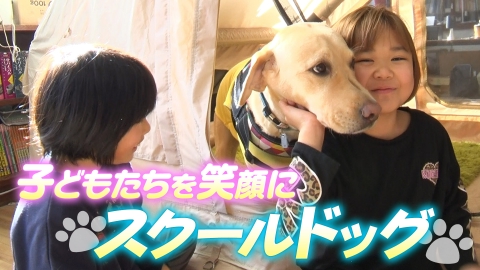 バトンタッチ　SDGsはじめてます 犬との触れ合いで子どもたちを笑顔に！「スクールドッグ」