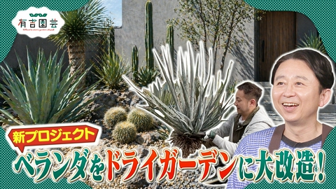 夢が咲く 有吉園芸～Road to start a garden shop～ ベランダをオシャレにプロデュース！