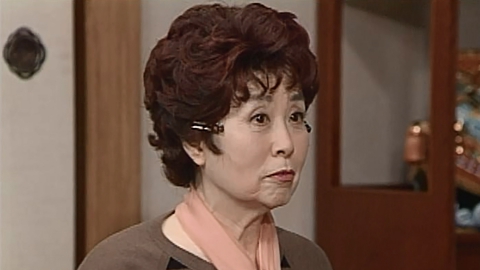 渡る世間は鬼ばかり 第3シリーズ(橋田壽賀子ドラマ) 1997年放送