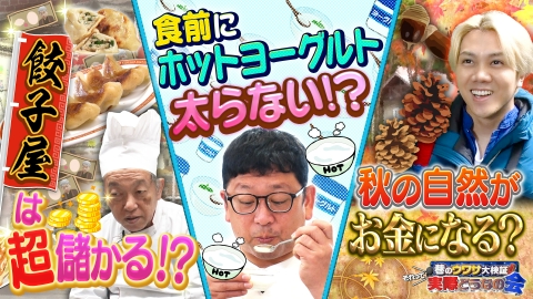 巷のウワサ大検証！それって実際どうなの会 ホットヨーグルトの効果 ギョウザ丸儲け作戦