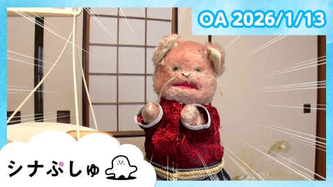 シナぷしゅ シナぷしゅ公式26/01/13