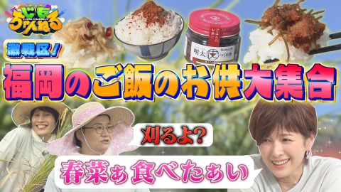 じもちゃんねる 新米の季節到来！福岡のご飯のお供大集合SP