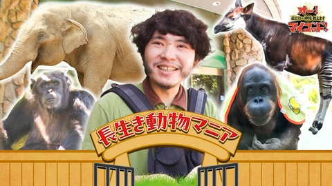 オー！マイゴッド！私だけの神様、教えます 動物園に行きたくなる!ご長寿動物の不思議な魅力&カワイイ(秘)生態