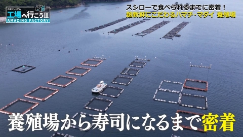 工場へ行こう III　AMAZING FACTORY 日本一の回転寿司チェーンを“超新鮮”で支える！激撮！尾鷲の巨大養殖場SP