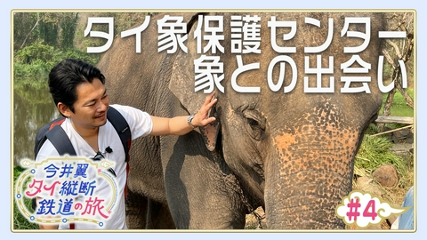 今井翼 タイ縦断鉄道の旅 #4 タイ象保護センター（１）
