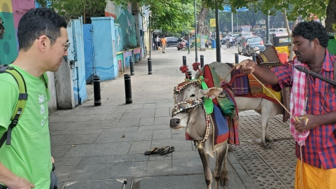 旅猿フェイスタオル（インド編） タオル