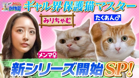 嗚呼!!みんなの動物園