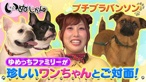 いぬじかん ハナコ岡部大が気になっていた酒屋の看板犬が登場！人気ワンコグッズ店訪問
