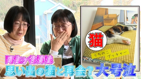 ねこ自慢 阿佐ヶ谷姉妹がサプライズに大号泣！？子猫とおばあちゃんの愉快な日常！