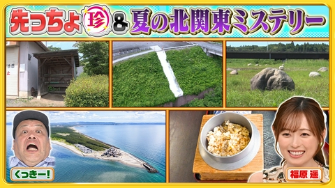 ナニコレ珍百景 北関東の不思議珍百景＆房総半島の先っちょにある謎の人工島に上陸SP