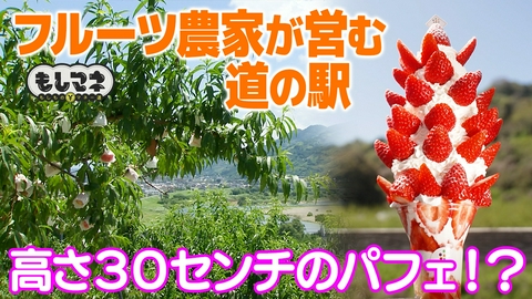 日経スペシャル　もしものマネー道　もしマネ 道の駅SP！和歌山の巨大パフェ＆日本一かわいい！大阪の手づくり道の駅