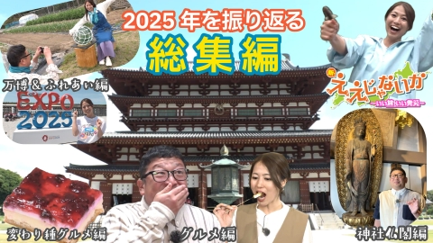 チャンカワイのプロフィール情報、出演作品一覧｜タレント｜見逃し無料配信はTVer！人気の動画見放題