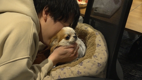 いぬじかん 武藤十夢の愛犬が得意技を披露！オフィスの天使、社員犬の日常をお届け