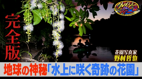 クレイジージャーニー 世界遺産・西表島の水上に咲く奇跡の花園探しの旅～完全版～