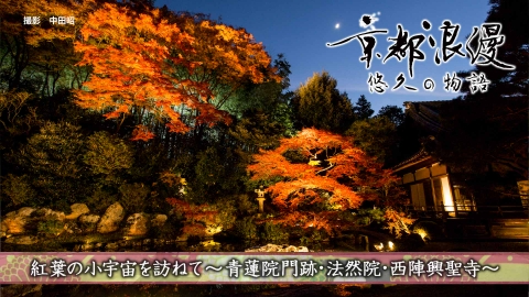 京都浪漫　悠久の物語 第182回「紅葉の小宇宙を訪ねて～青蓮院門跡・法然院・西陣興聖寺～」