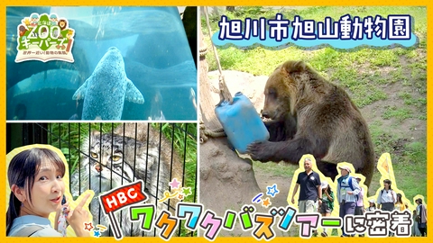 北海道ZOOキーパーズ～世界一近い！動物の素顔～ 番組コラボの「旭山動物園」特別ツアーを開催！