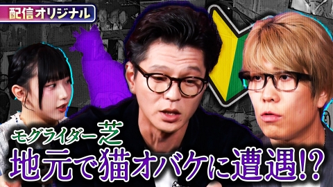 ジャパンオカルトアーカイブ～マジやば不思議話～ コヤッキー驚愕！芝が運転中に遭遇した猫お化けとは？