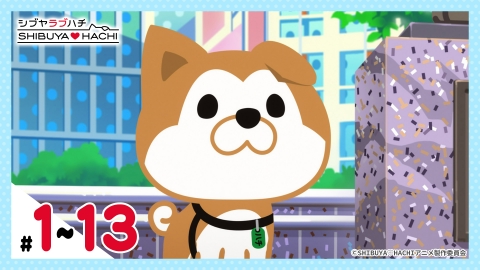 SHIBUYA♡HACHI 第3クール 4月5日(土)放送分 第26話 忠犬ハチ公物語