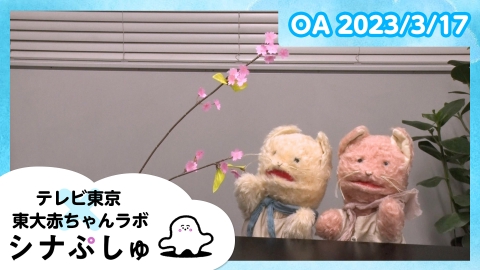 シナぷしゅ