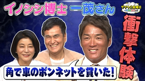ザワつく！ 金曜日 イノシシに詳しすぎる一茂さん＆一番高い信楽焼きたぬきを見極めろ！