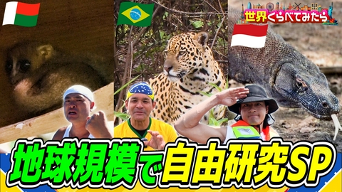 世界くらべてみたら 夏休み特別企画！世界で自由研究SP