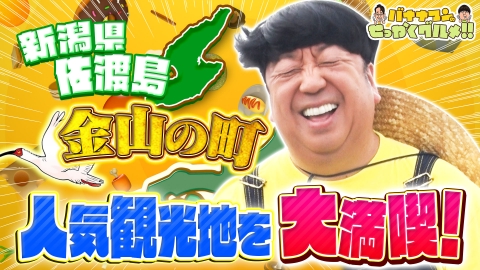 クレイジージャーニー8 クレイジージャーニー vol.8 | HMV&BOOKS online - YRBN-91320/1